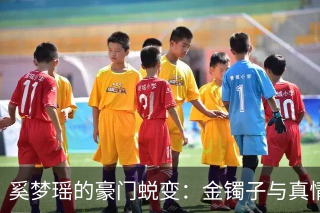 奚梦瑶的豪门蜕变：金镯子与真情的婚礼盛宴