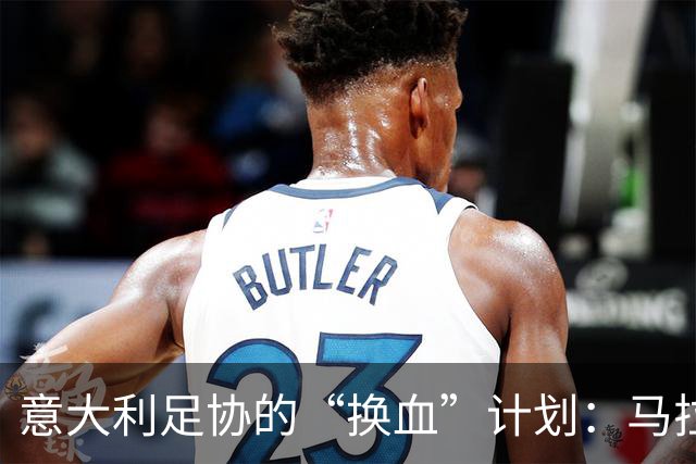 意大利足协的“换血”计划：马拉戈来当救火队长？